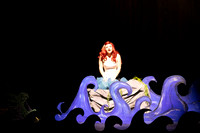 Little Mermaid-6