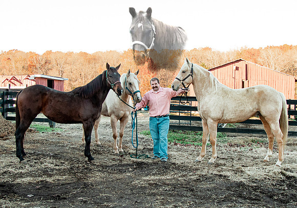 Mike and Horses