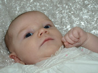 LT016