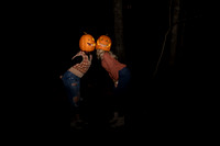 Pumpkin-17
