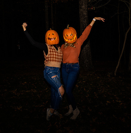 Pumpkin-15