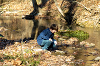 Sara-12