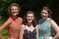KayleJunProm2017_025