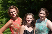 KayleJunProm2017_023