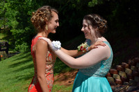 KayleJunProm2017_018