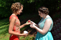 KayleJunProm2017_011