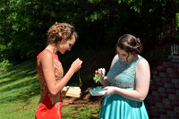 KayleJunProm2017_009