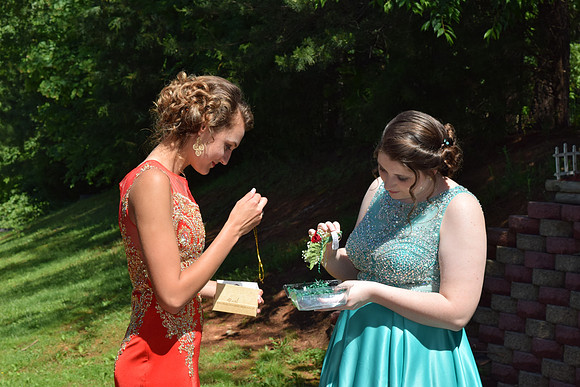 KayleJunProm2017_009