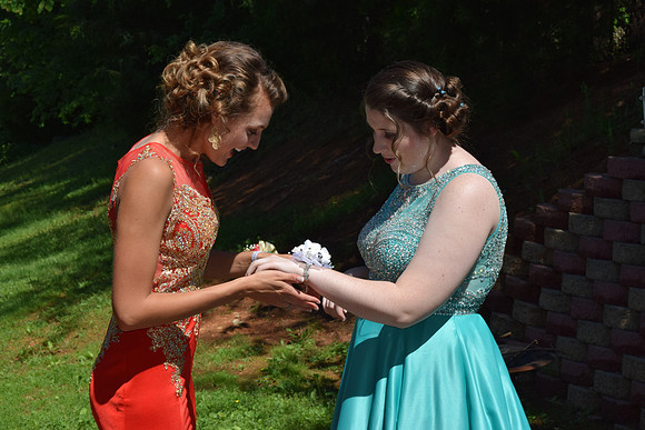 KayleJunProm2017_016