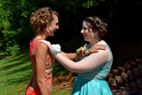 KayleJunProm2017_017