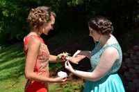 KayleJunProm2017_012