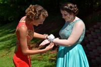 KayleJunProm2017_014