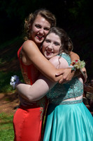 KayleJunProm2017_034