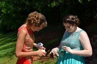 KayleJunProm2017_010