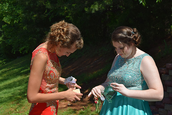 KayleJunProm2017_010
