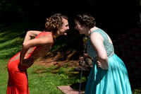 KayleJunProm2017_028