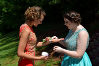 KayleJunProm2017_013