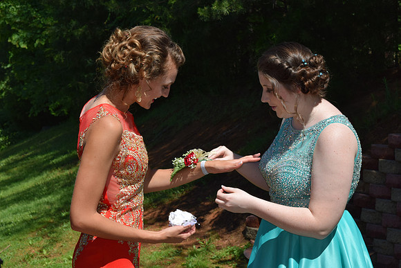 KayleJunProm2017_013