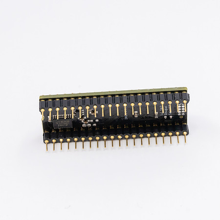 David-13