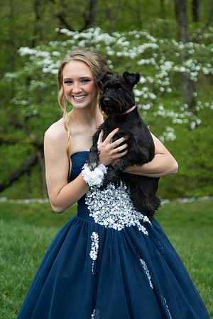 Abby (2)