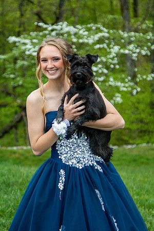 Abby (5)