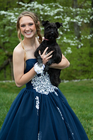 Abby (6)