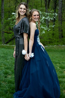 Abby (10)
