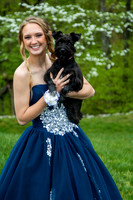 Abby (7)