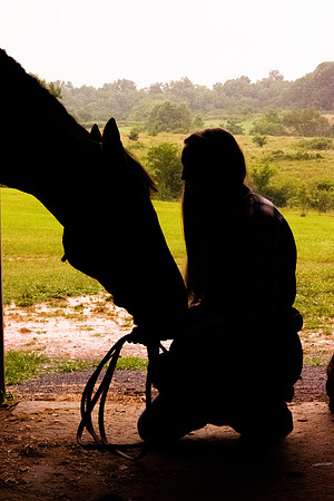 AbbyHorse (16)