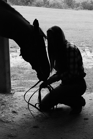 AbbyHorse (18)